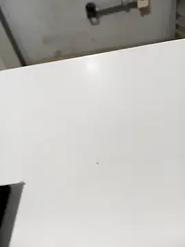 lobomisterioso13 online show from 12/16/24, 07:48