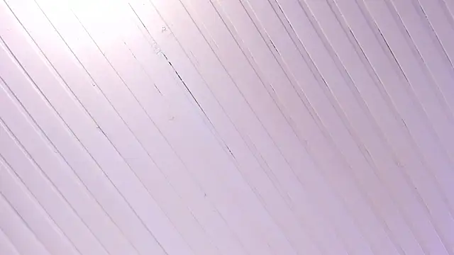 Ammy nova online show from 11/01/25, 08:11