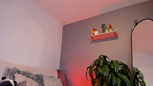 jaxon colton online show from 01/27/25, 03:39