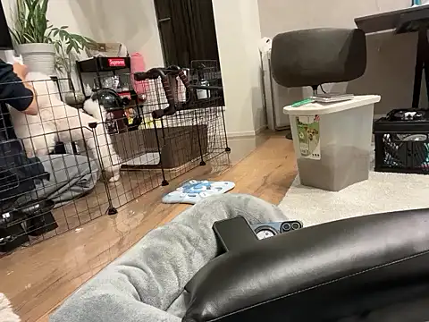 Snapshot of kensnb chatting on 11/01/25, 09:11 kensnb online show from 11/01/25, 09:11