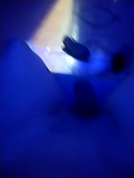 Vickktor online show from 12/16/25, 02:05