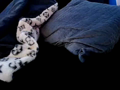 Snapshot of Niquitasparkles chatting on 12/22/24, 09:31 Niquitasparkles online show from 12/22/24, 09:31