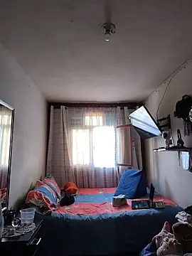 Dani pegin online show from 11/15/25, 03:52