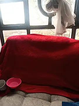 Snapshot of Tefannyy_ chatting on 06/17/26, 02:07 Tefannyy online show from 06/17/26, 02:07
