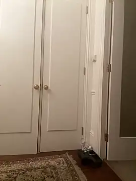 Snapshot of francaFerrariRoma chatting on 12/28/24, 03:26 francaFerrariRoma online show from 12/28/24, 03:26