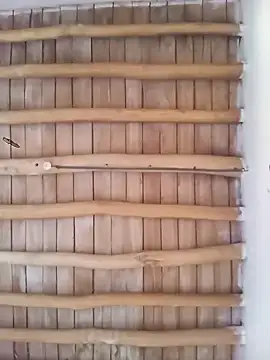 Atabey 65 online show from 12/03/25, 12:03