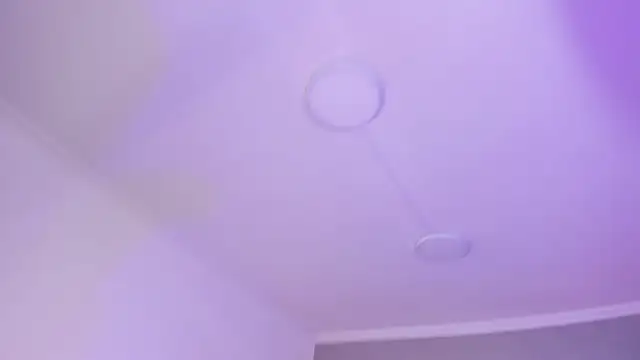 AmberiniHoffman online show from 01/17/25, 05:41