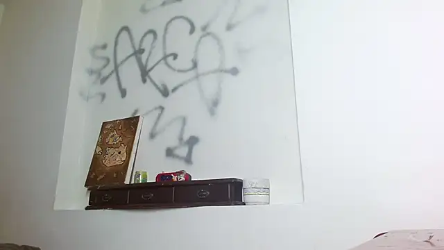 Party trans online show from 12/16/24, 08:05