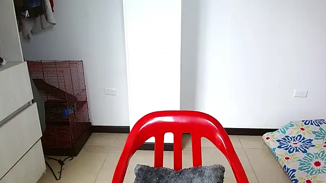 Party trans online show from 12/28/24, 05:03