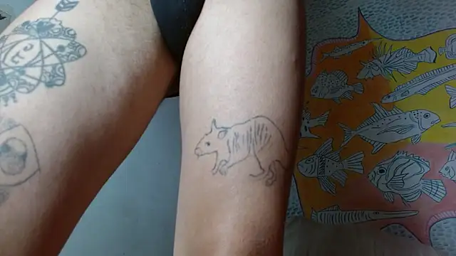 Party trans online show from 02/11/25, 10:28