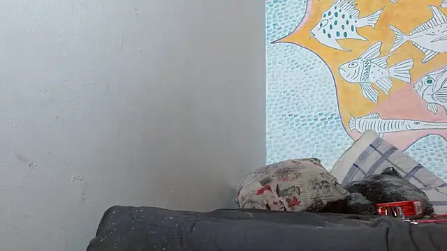 Party trans online show from 02/14/25, 03:22