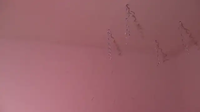 Miss oliviaa online show from 01/03/25, 11:01