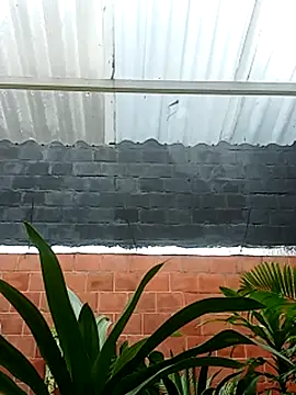 luchoarr online show from 11/14/25, 12:59