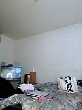 TickleMeKink online show from 12/17/24, 06:24