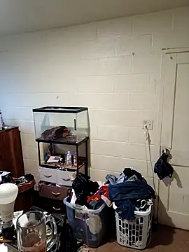 TickleMeKink online show from 09/18/25, 11:23