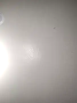 TickleMeKink online show from 10/14/25, 08:59