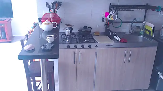 Snapshot of meridandwither chatting on 01/31/25, 03:00 meridandwither online show from 01/31/25, 03:00