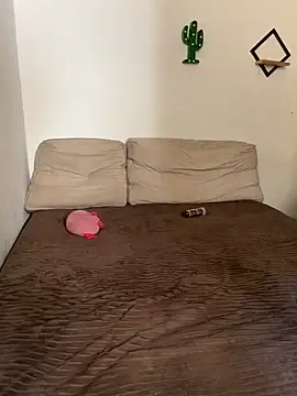 Snapshot of pepsicolacouple chatting on 11/13/25, 05:56 pepsicolacouple online show from 11/13/25, 05:56