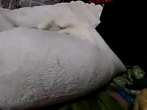 sexyguy1231 online show from 12/26/24, 03:53