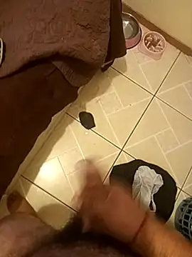 pedritolobito online show from 01/17/25, 04:36