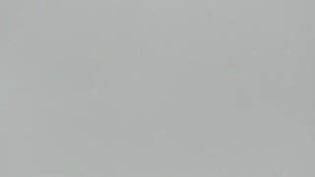 Zoeth Ruiz online show from 03/17/25, 12:46