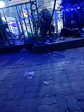 Snapshot of riyajfuckboy chatting on 12/25/24, 09:33 riyajfuckboy online show from 12/25/24, 09:33