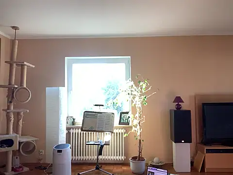 Bula94193 online show from 03/08/25, 08:33