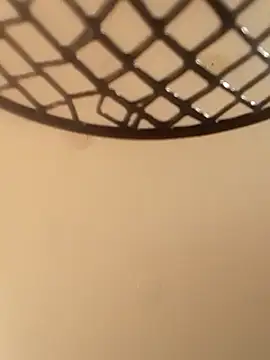 geilerschwanz64 online show from 12/24/24, 08:55