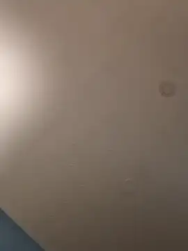 geilerschwanz64 online show from 01/21/25, 05:16