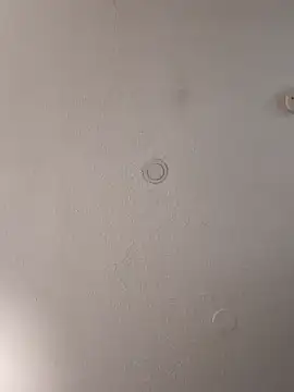 geilerschwanz64 online show from 02/02/25, 04:00