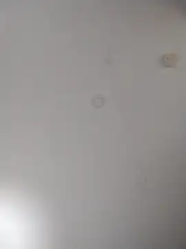 geilerschwanz64 online show from 10/10/25, 06:01