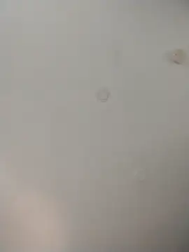 Snapshot of geilerschwanz64 chatting on 11/26/25, 08:21 geilerschwanz64 online show from 11/26/25, 08:21