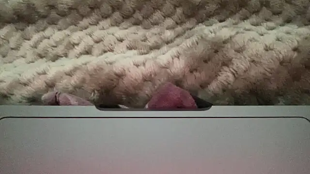 Snapshot of thick_n_hard chatting on 12/14/24, 09:51 thick n hard online show from 12/14/24, 09:51