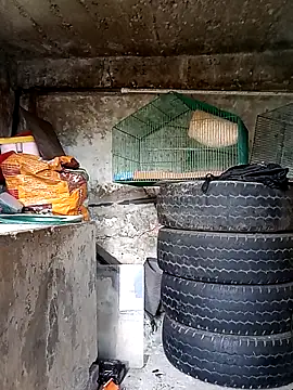 Snapshot of Elvishcassie_ chatting on 10/01/25, 06:58 Elvishcassie online show from 10/01/25, 06:58