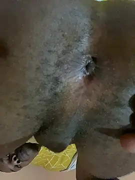 skyfall200 online show from 12/20/24, 09:06