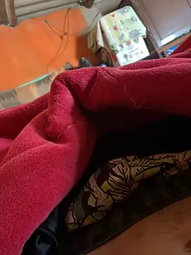 Snapshot of kaiqueeeh_90 chatting on 03/15/25, 06:10 kaiqueeeh 90 online show from 03/15/25, 06:10