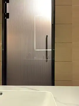 Snapshot of Aimeil chatting on 03/20/25, 05:04 Aimeil online show from 03/20/25, 05:04