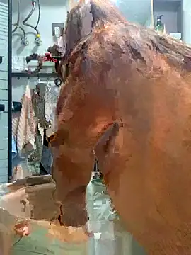 Aimeil online show from 11/18/25, 03:27