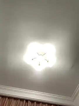 Aimeil online show from 11/27/25, 07:05