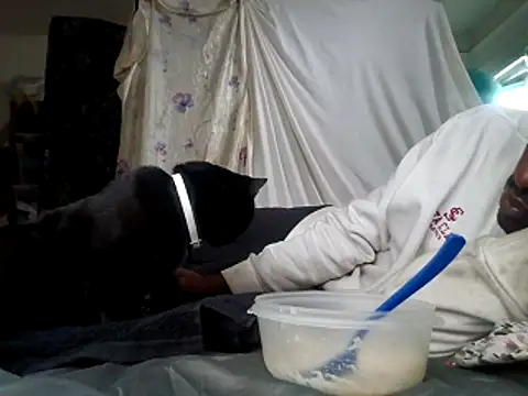 DevinToore online show from 12/15/25, 06:01