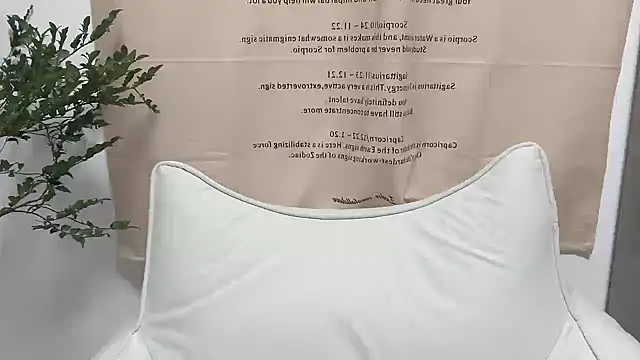 Arrebo1 online show from 12/04/24, 02:37