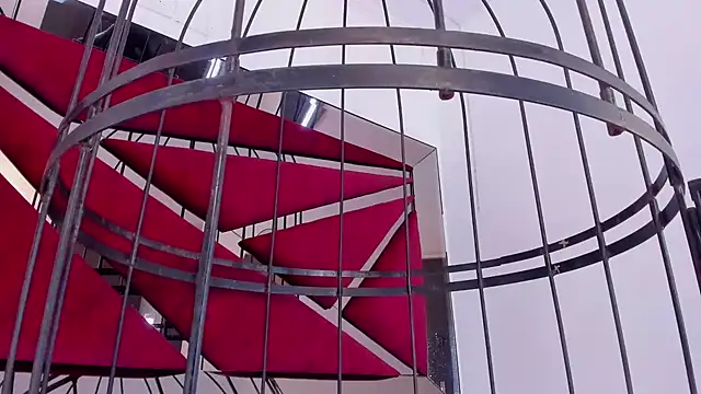 GiaFu online show from 01/25/25, 09:14