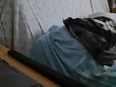 VeneRed online show from 07/17/26, 12:01