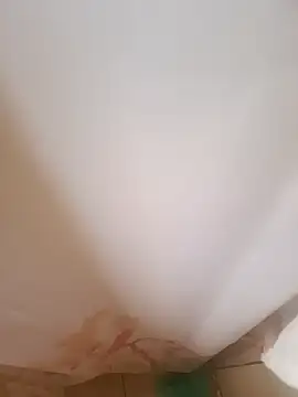 Snapshot of 403notfound chatting on 11/03/25, 04:41 403notfound online show from 11/03/25, 04:41