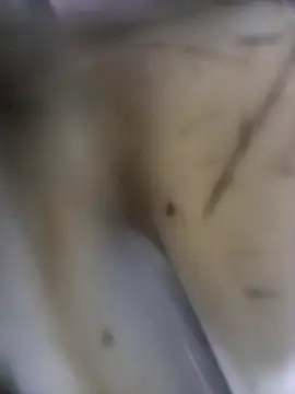 Snapshot of SuAlegriaHot chatting on 10/31/25, 04:02 SuAlegriaHot online show from 10/31/25, 04:02