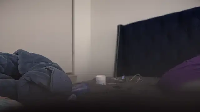 bearcloudcomputa online show from 01/29/25, 11:56