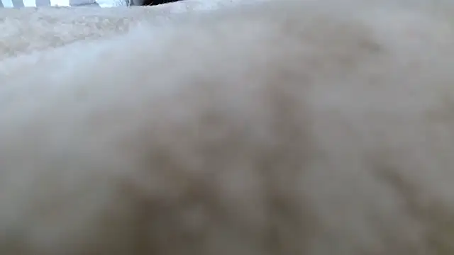 Heracles00 online show from 10/13/25, 12:49