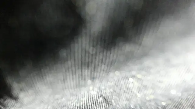 Arantza Hill online show from 06/17/26, 08:21