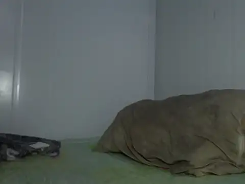 serjdj90 online show from 11/11/25, 08:03