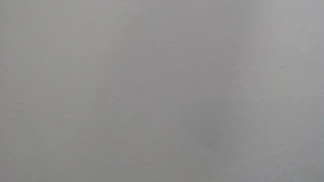Dyla n18 online show from 01/04/25, 09:41